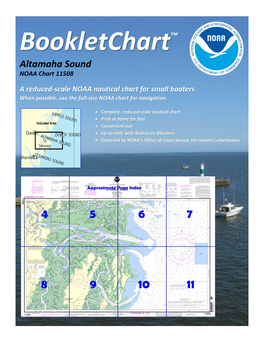 Bookletchart™ Altamaha Sound NOAA Chart 11508