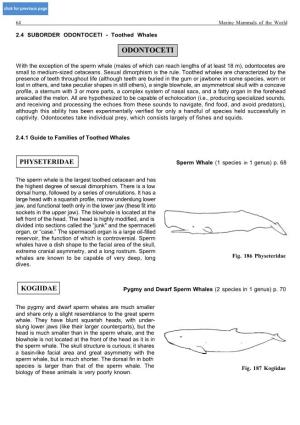 SUBORDER ODONTOCETI - Toothed Whales
