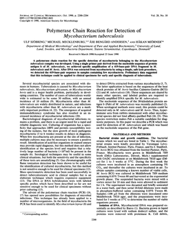 Mycobacterium Tuberculosis