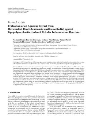 Evaluation of an Aqueous Extract from Horseradish Root (Armoracia Rusticana Radix) Against Lipopolysaccharide-Induced Cellular Inflammation Reaction