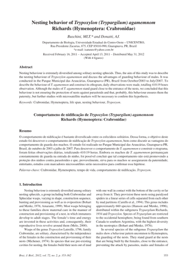 Nesting Behavior of Trypoxylon (Trypargilum) Agamemnom Richards (Hymenoptera: Crabronidae) Buschini, MLT.* and Donatti, AJ