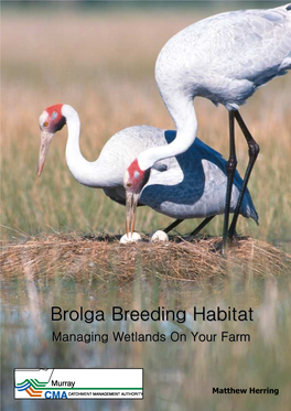 Brolga Breeding Habitat