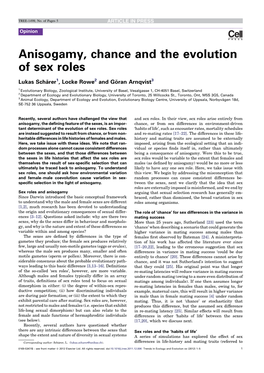 Anisogamy, Chance and the Evolution of Sex Roles