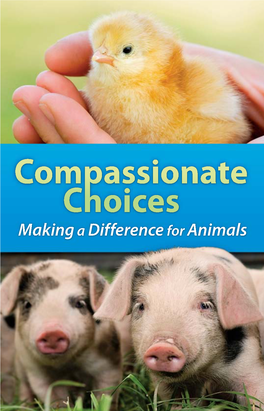 Compassionate Choices Leaflet