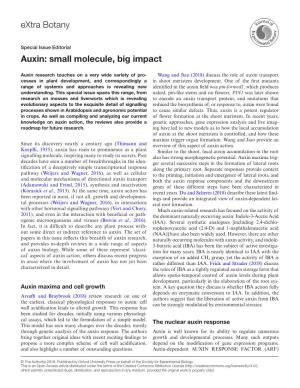 Extra Botany Auxin: Small Molecule, Big Impact