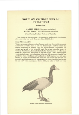 Notes on Anatidae Seen on World Tour