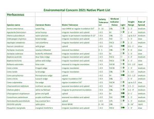 Herbaceous Environmental Concern 2021 Native Plant List