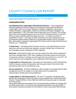 County Councillor Report