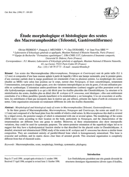 Étude Morphologique Et Histologique Des Scutes Des Macroramphosidae (Teleostei, Gastérostéiformes)
