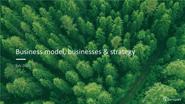 Business Model, Businesses & Strategy