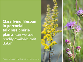 Classifying Lifespan in Perennial Tallgrass Prairie Plants: Can We Use Readily Available Trait Data?