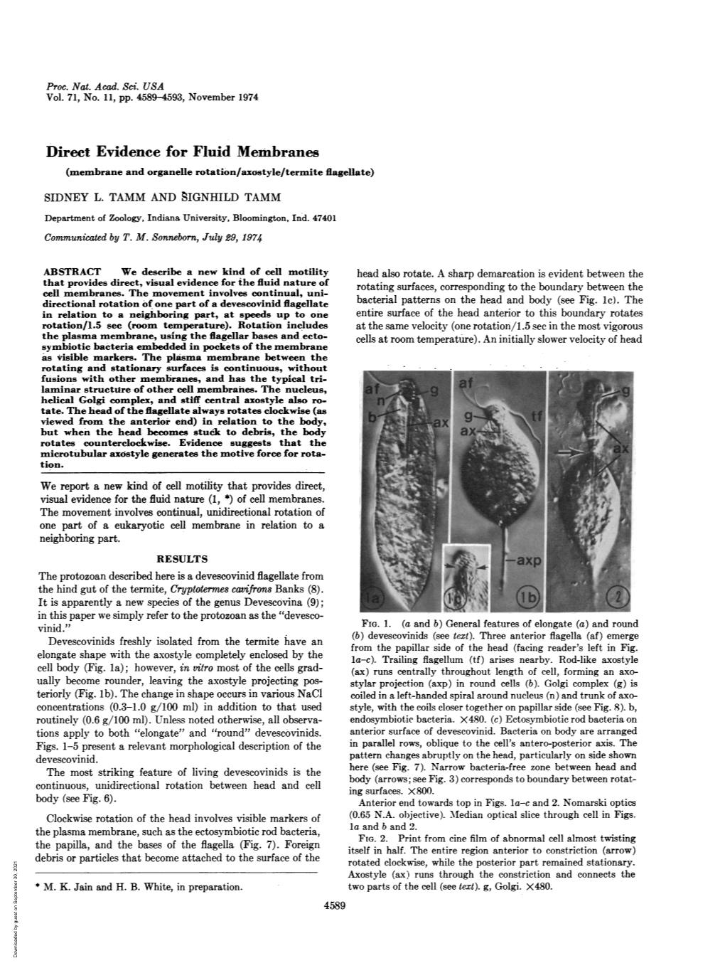 Direct Evidence for Fluid Membranes (Membrane and Organelle Rotation/Axostyle/Termite Flagellate) SIDNEY L