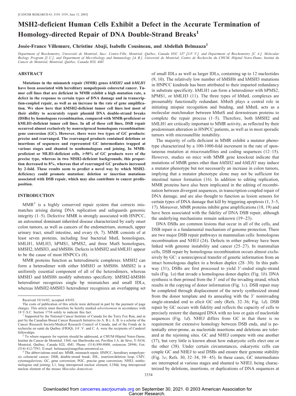 MSH2-Deficient Human Cells Exhibit a Defect in the Accurate Termination of Homology-Directed Repair of DNA Double-Strand Breaks1