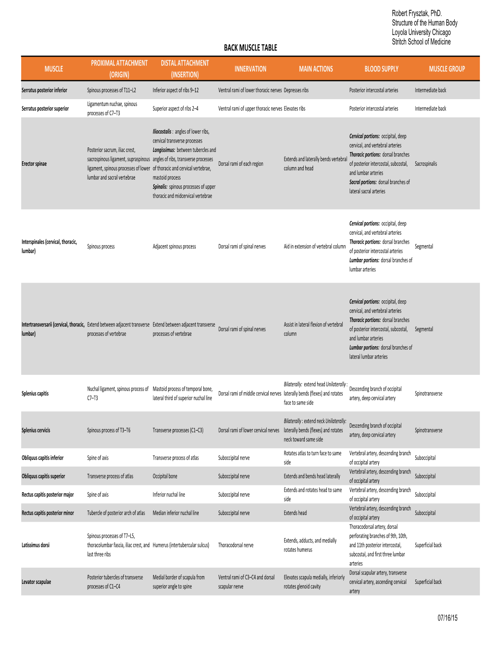 Back Muscle Table Proximal Attachment Distal Attachment Muscle Innervation Main Actions Blood Supply Muscle Group (Origin) (Insertion)