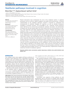 Vestibular Pathways Involved in Cognition