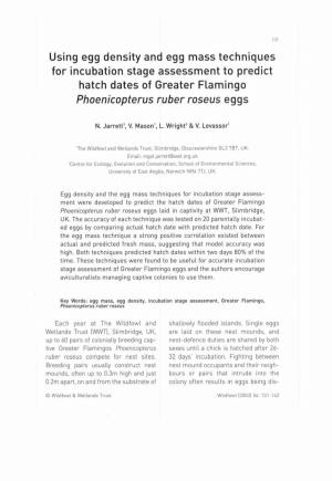 Using Egg Density and Egg Mass Techniques for Incubation Stage Assessment to Predict Hatch Dates of Greater Flamingo Phoenicopterus Ruber Roseus Eggs