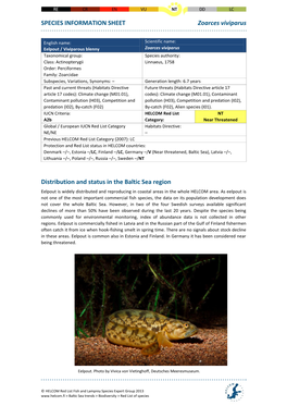 SPECIES INFORMATION SHEET Zoarces Viviparus