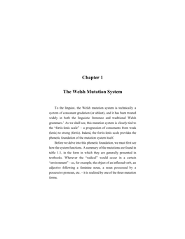 Chapter 1 the Welsh Mutation System