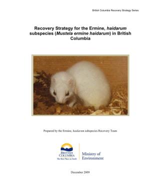 Recovery Strategy for the Ermine, Haidarum Subspecies (Mustela Ermine Haidarum) in British Columbia