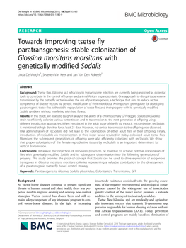 Towards Improving Tsetse Fly Paratransgenesis: Stable