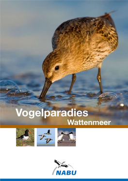 Vogelparadies Wattenmeer Impressum Impressum