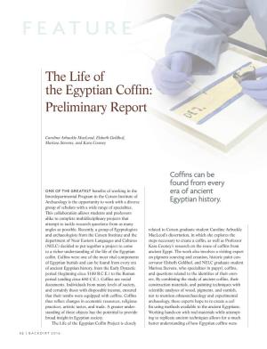 The Life of the Egyptian Coffin: Preliminary Report