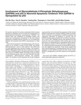 And P53 in Neuronal Apoptosis: Evidence That GAPDH Is Upregulated by P53