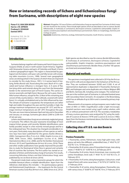 New Or Interesting Records of Lichens and Lichenicolous Fungi from Suriname, with Descriptions of Eight New Species
