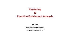 Clustering & Function Enrichment Analysis