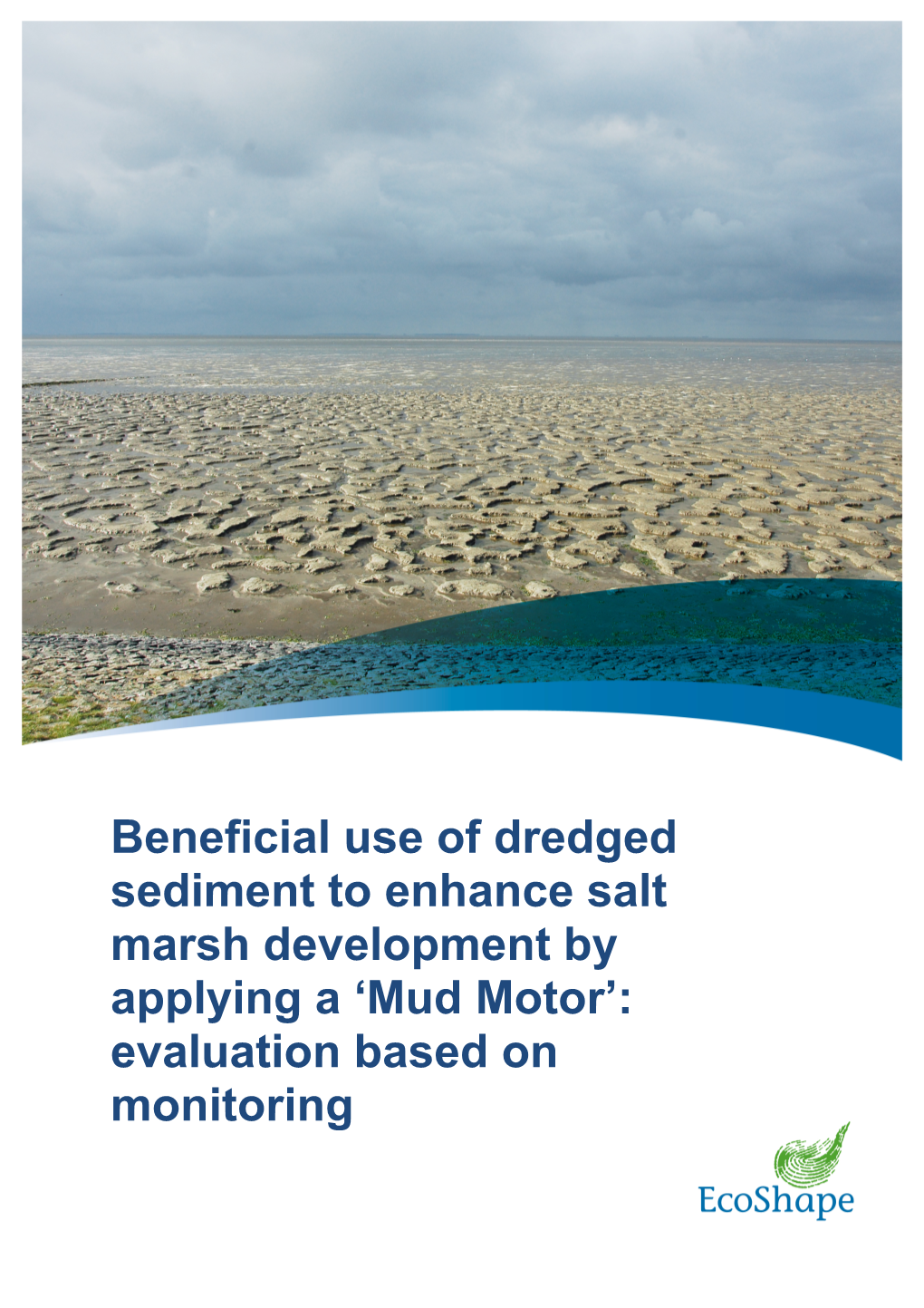 Beneficial Use of Dredged Sediment to Enhance Salt Marsh Development by Applying a ‘Mud Motor’: Evaluation Based on Monitoring