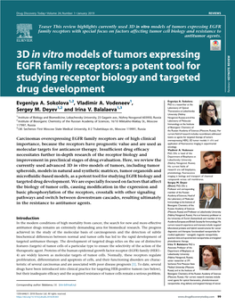 3D in Vitro Models of Tumors Expressing EGFR Family Receptors: A