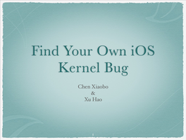 Find Your Own Ios Kernel Bug