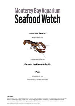 American Lobster Canada: Northwest Atlantic Pots