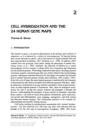 Cell Hybridization and the 24 Homan Gene Maps