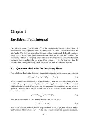 Chapter 6 Euclidean Path Integral
