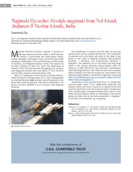 Mugimaki Flycatcher Ficedula Mugimaki from Neil Island, Andaman & Nicobar Islands, India Swarnendu Das
