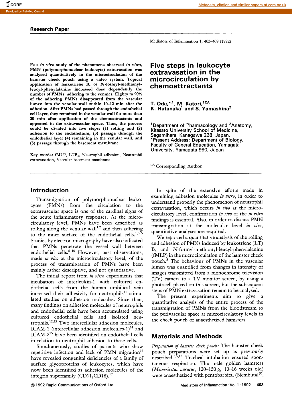 Five Steps in Leukocyte Extravasation in the Rnicrocirculation by Chemoattractants