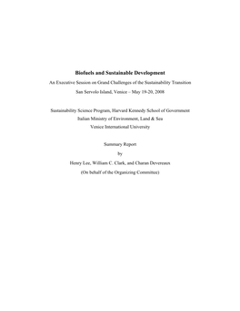 Biofuels and Sustainable Development an Executive Session on Grand Challenges of the Sustainability Transition San Servolo Island, Venice – May 19-20, 2008