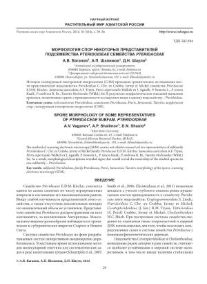 Морфология Спор Некоторых Представителей Подсемейства Pteridoideae Семейства Pteridaceae А.В
