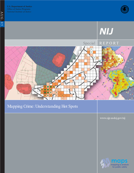 Mapping Crime: Understanding Hot Spots