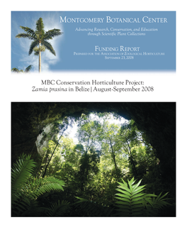 MBC Conservation Horticulture Project: Zamia Prasina in Belize | August-September 2008 Cycad Conservation Horticulture Project