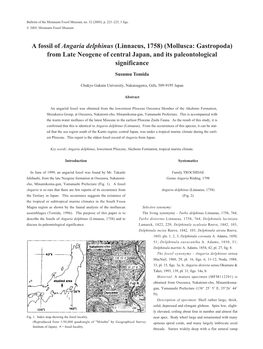 A Fossil of Angaria Delphinus (Linnaeus, 1758) (Mollusca: Gastropoda) from Late Neogene of Central Japan, and Its Paleontological Significance