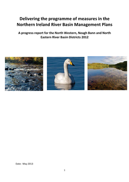 Delivering the Programme of Measures in the Northern Ireland River Basin Management Plans