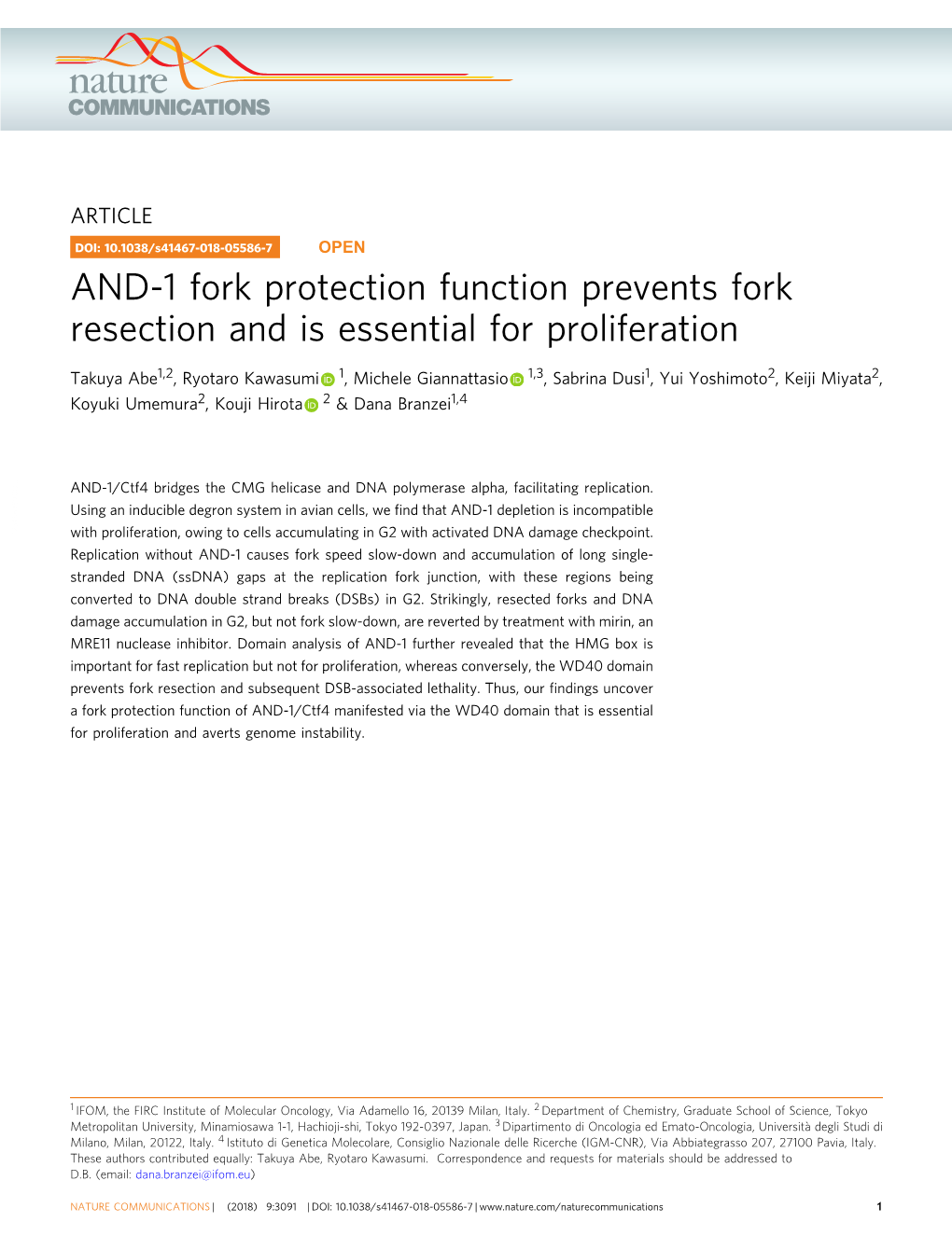 AND-1 Fork Protection Function Prevents Fork Resection and Is Essential for Proliferation