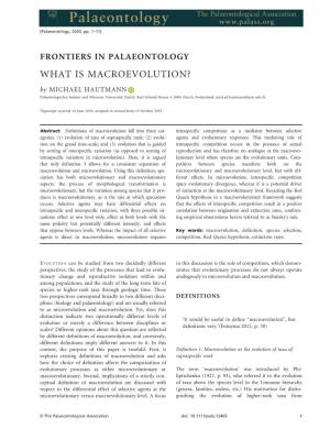 What Is Macroevolution?