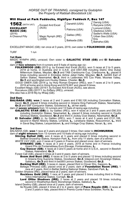 HORSE out of TRAINING, Consigned by Godolphin the Property of Rabbah Bloodstock Ltd