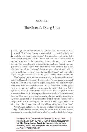The Queen's Orang-Utan