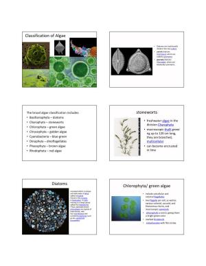 Classification of Algae Diatoms Stoneworts Chlorophyta