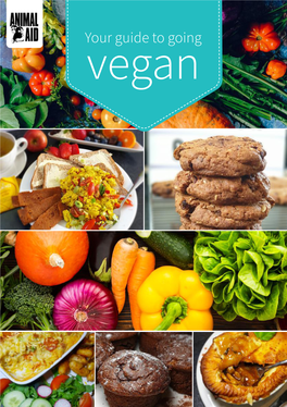Your Guide to Going Vegan Contents Welcome to Animal Aid’S Introduction 4 Guide to Going Vegan Recipes 6 Nutrition 18