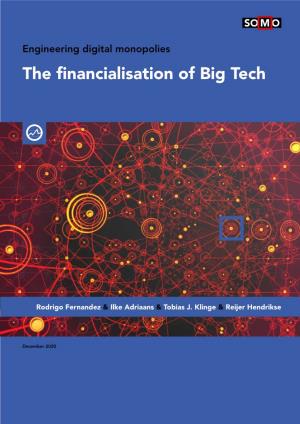 The Financialisation of Big Tech